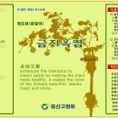 증산고령토 이미지