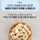 바른너츠