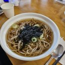 활짝핀메밀