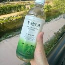물애담 이미지