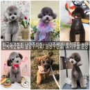 토리켄넬 이미지