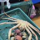 수산상회 | 노량진수산시장 대게집 순천만상회 후기