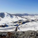 알펜시아 스포츠파크 바이애슬론 경기장 이미지