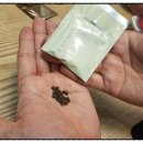 바른시선한의원 이미지