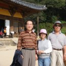 송이투어 Daum카페