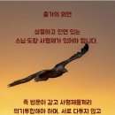 제왕장 이미지