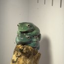 쥬니멀 전시장 이미지