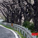 남해-남해-남해-비-3 이미지