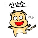 부대찌개VS삼겹살(해뜰면) 이미지