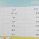 꽃차소믈리에양성과정 이미지