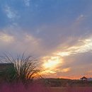 배곧생명공원 이미지