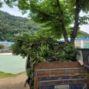 수성중학교 이미지