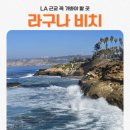 라구나비치 | LA 근교 여행지 추천ㅣ미국 캘리포니아 라구나 비치 후기
