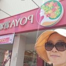 솔트필드 이미지