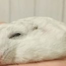 만들 짐 이미지