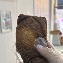 링스안경 | [링스보스턴 전주점] 아침일찍 열고 늦게까지 하는 디저트 카페 맛집 추천 (ft. 패스츄리 붕어빵)