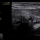 상암 진 동물의료센터 이미지