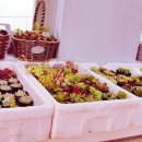 달성토성마을 협동조합 이미지