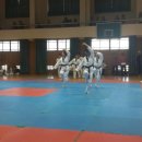 용인대태권스쿨 이미지