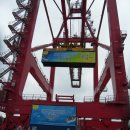 포항축산업협동조합 이미지