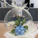 팰리스산후조리원 | 분당 수내 더팰리스 산후조리원 후기