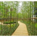 묘동회관 이미지