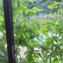 카페일분 안성점 이미지