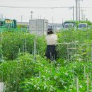 매호농장 이미지