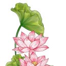 유등연지 이미지