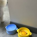 어나더 스위티 이미지