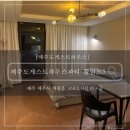 5447 | 제주 시내 애월 게스트하우스 파티 끌림 365 솔직 후기