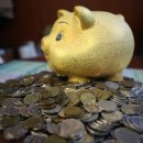 박영환농장 이미지