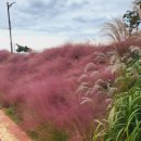 중앙로+광덕로 이미지