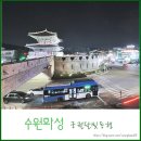 동행 | 11월 가을밤 여행 수원화성 궁궐달빛동행 후기