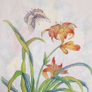 수원-0457 이미지