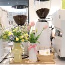 VTA CENTER 이미지