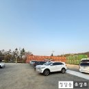 [하남 강동칼국수] 일자산 공원 부근 창밖 뷰가 예쁜 맛집 솔직 후기
