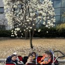 대전청사 아람어린이집 이미지