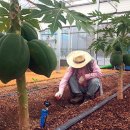 달성군농업기술센터 이미지