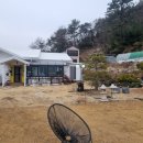 카페 유월육일