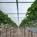 장태산농장 이미지