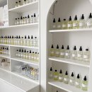 파인위드 이미지