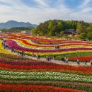 한평소류지 | *남해의 봄을 물들이는 튤립의 향연, 장 평 소 류 지 완벽 가이드