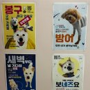 포레그스