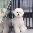 멍했냥 평택본점 이미지