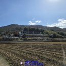 무안군 축사매매 태양광발전소도 있답니다~(매물번호 2509)