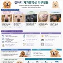 멍멍이네 Daum카페