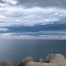 월하초당 이미지