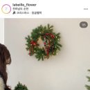 라베일르 이미지