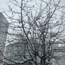 국민내일배움카드 헤어현장실무 수료 후기 및 훈련장려금 지급 시기 총정리
